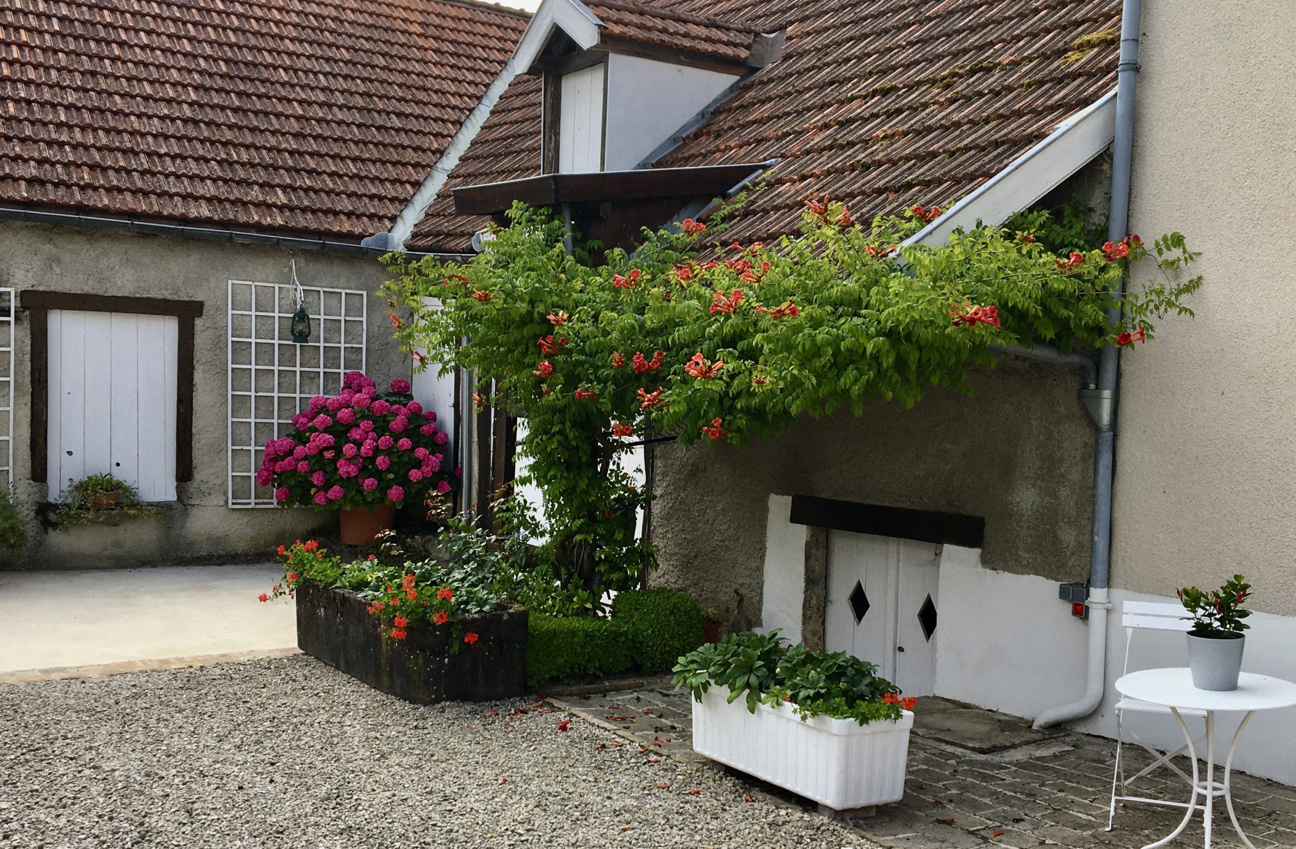 The House – Champagne Alexandra Sainz